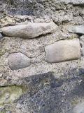 Steinmauer Reinigung